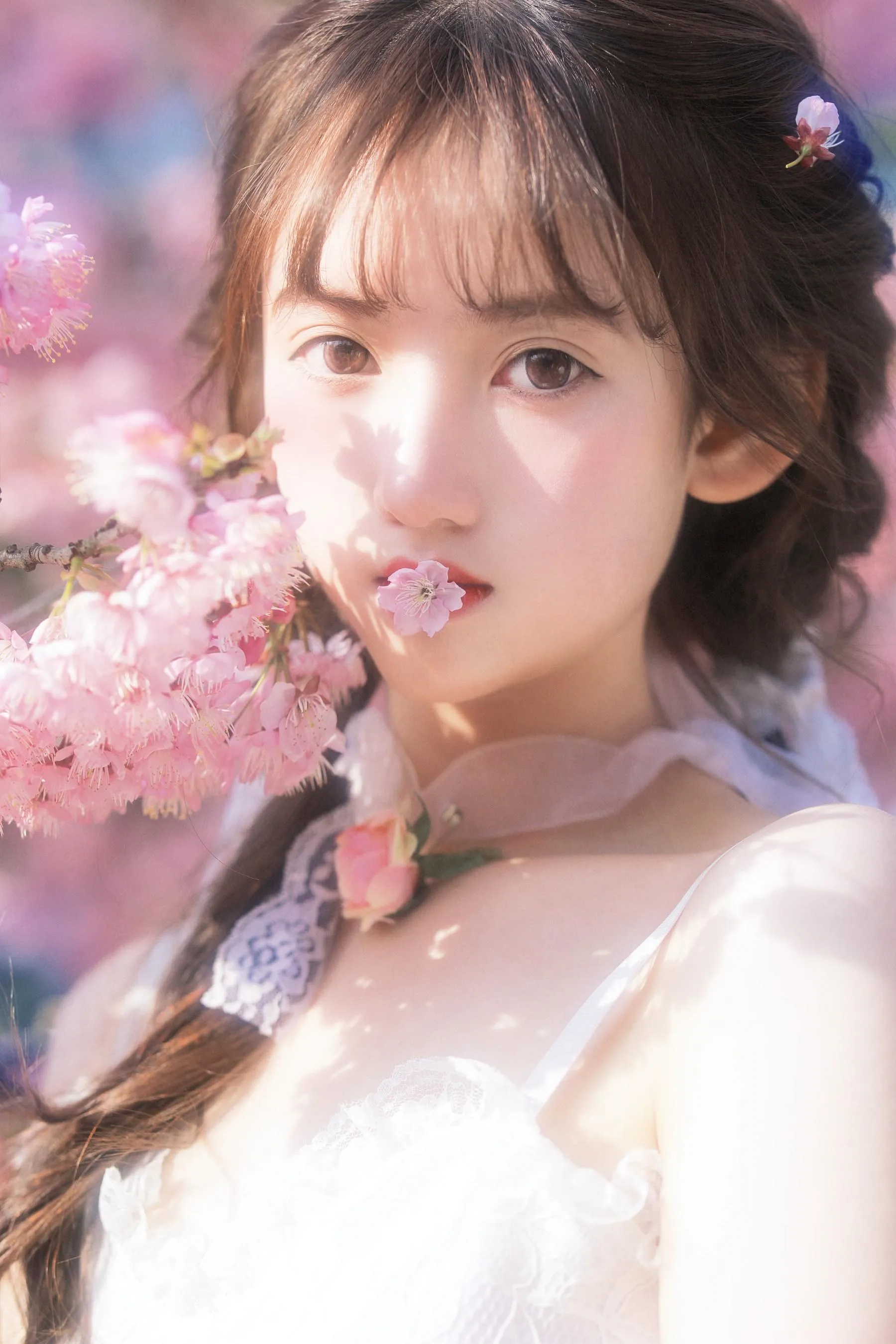 怡子yiii – NO.02 樱花限定 [20P]插图1